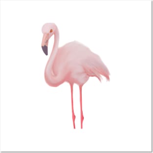 Cute Flamingo Drawing Posters and Art